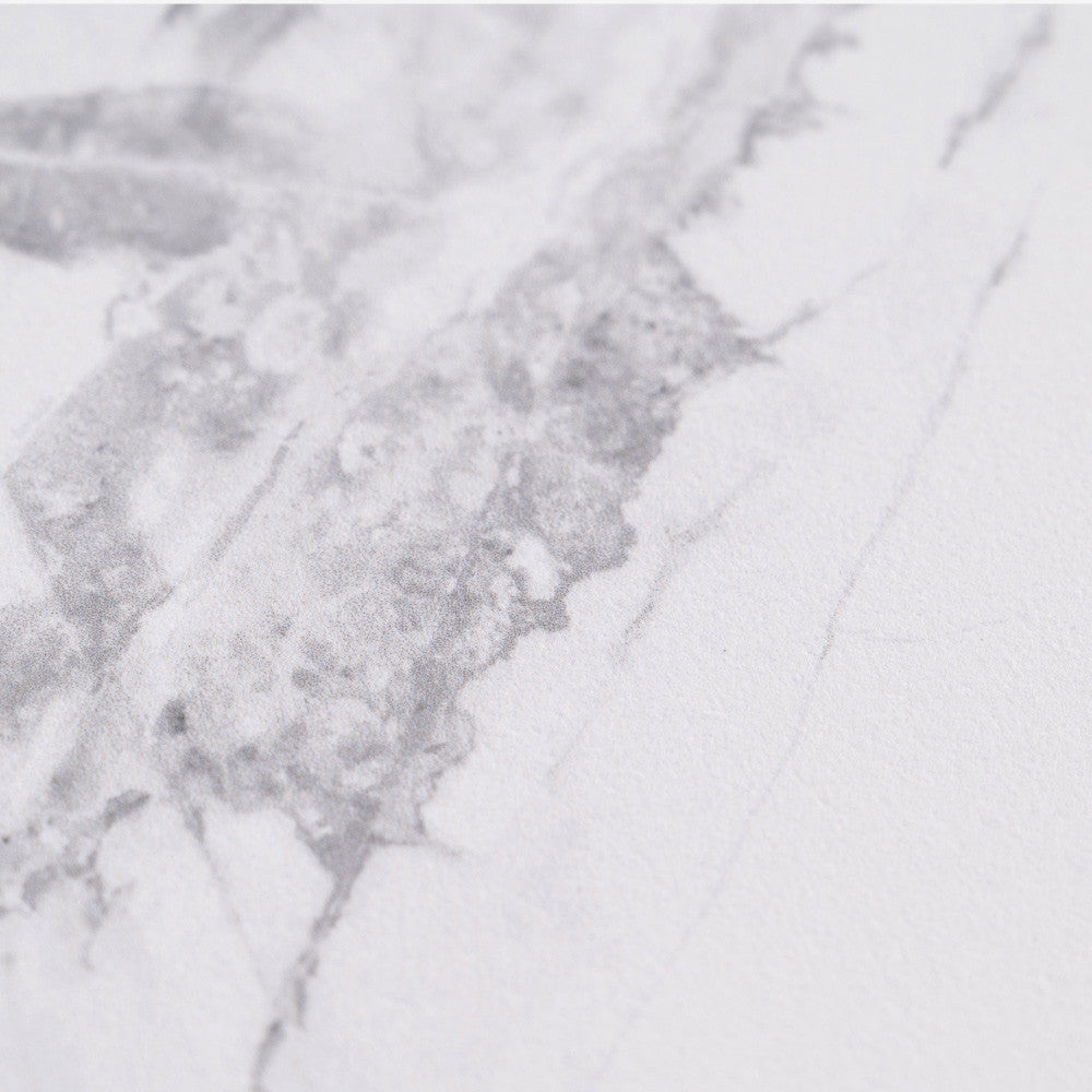 CELLAラウンドテーブルWH