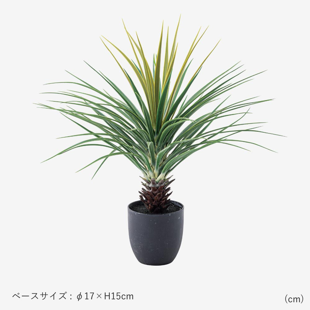 ミニパイナップル　フェイクグリーン