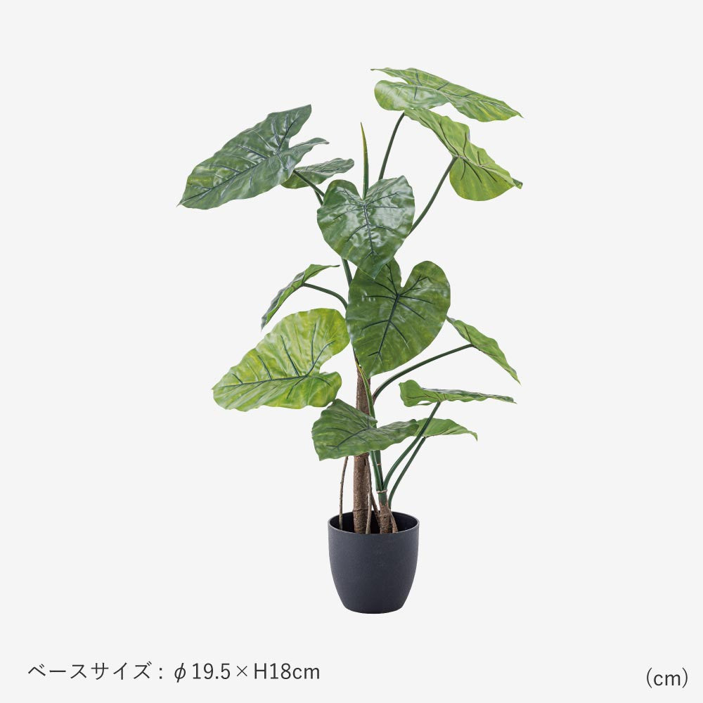 フェイクグリーン　クワズイモ