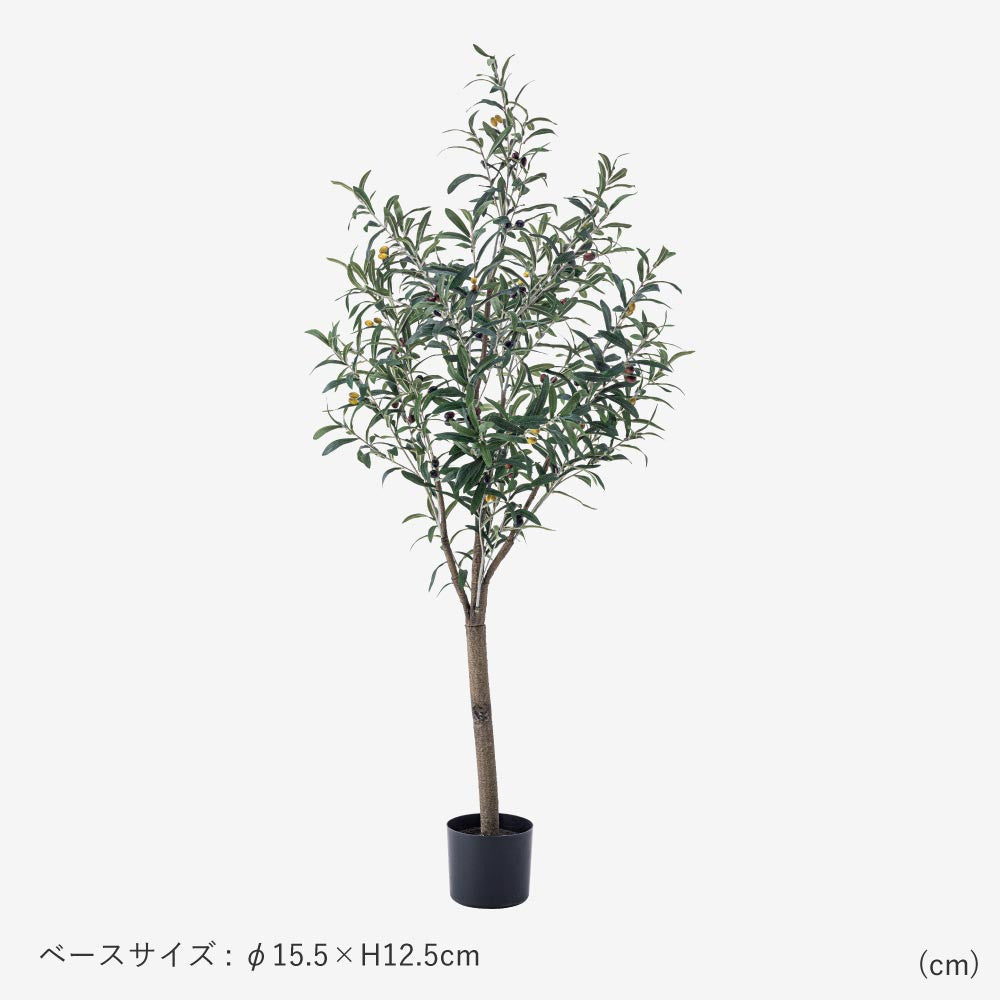 フェイクグリーン　オリーブ